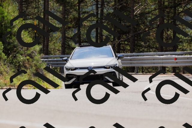 202508161223-_04A1057_c3