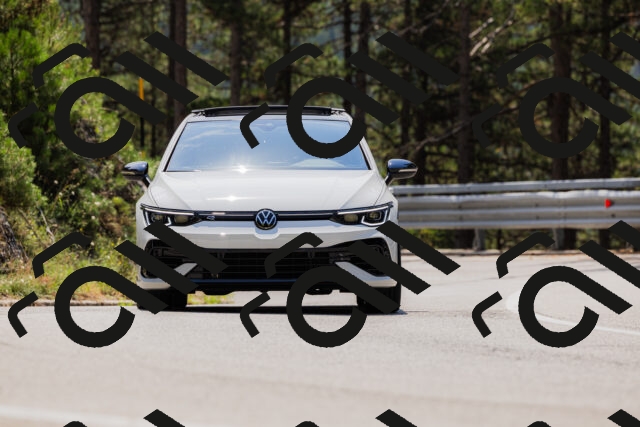 202508161223-_04A1059_c3