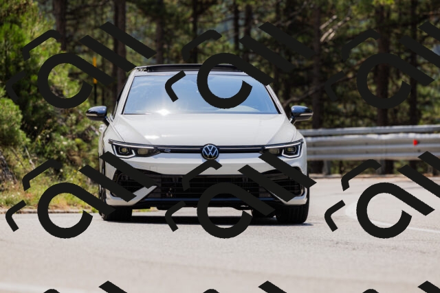 202508161223-_04A1060_c3