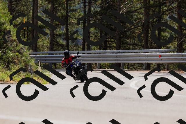 202508161225-_04A1063_c3