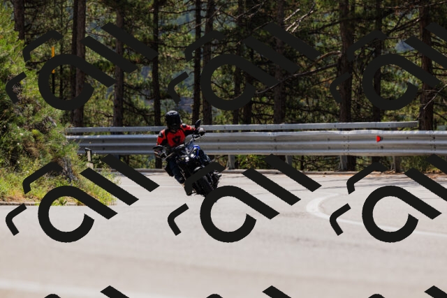 202508161225-_04A1064_c3