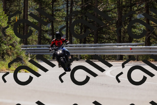 202508161225-_04A1065_c3