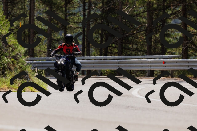 202508161225-_04A1066_c3