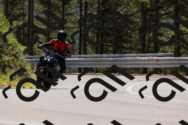 202508161225-_04A1067_c3