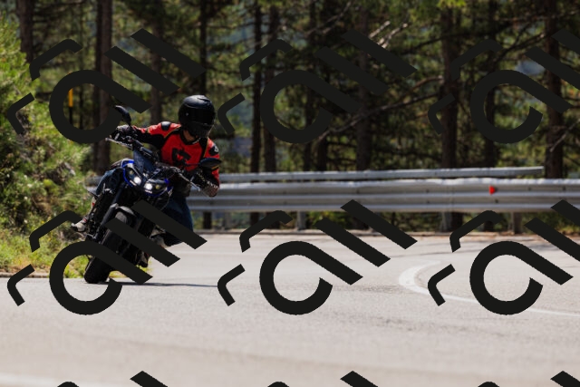 202508161225-_04A1068_c3