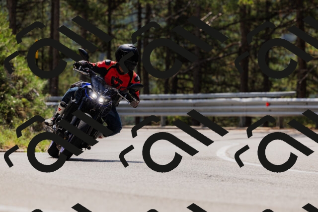 202508161225-_04A1069_c3