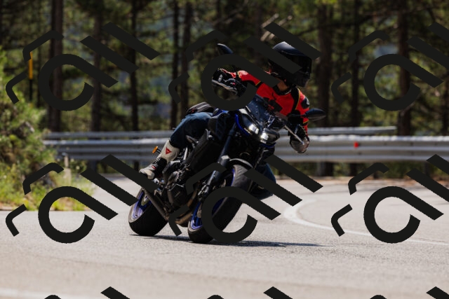 202508161225-_04A1070_c3