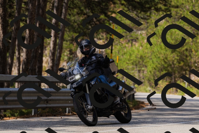 202508161225-_04A1071_c3