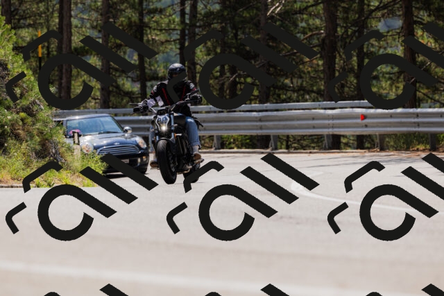 202508161225-_04A1073_c3