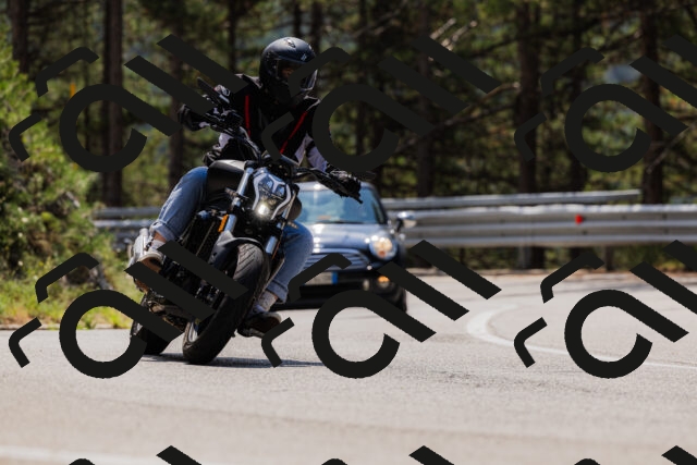 202508161225-_04A1077_c3