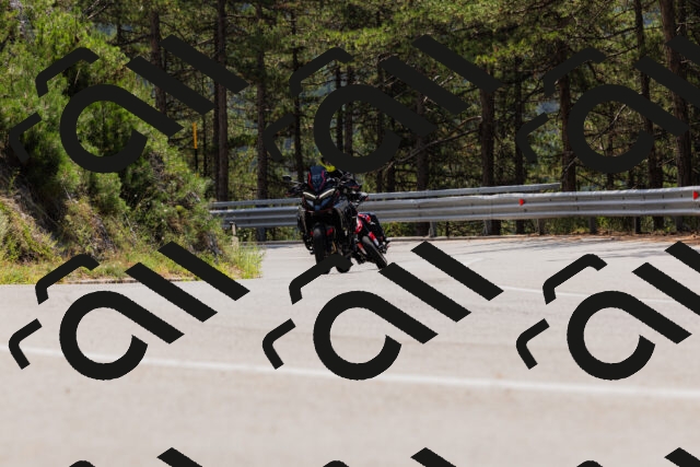 202508161227-_04A1085_c3