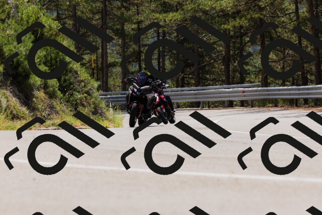 202508161227-_04A1086_c3