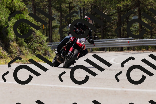 202508161227-_04A1088_c3