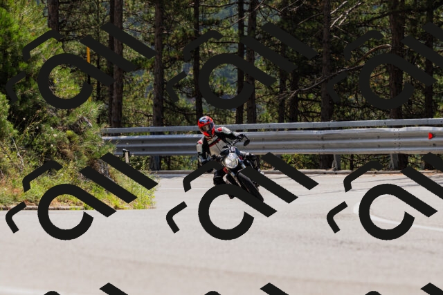 202508161227-_04A1090_c3