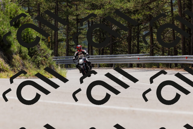 202508161227-_04A1091_c3