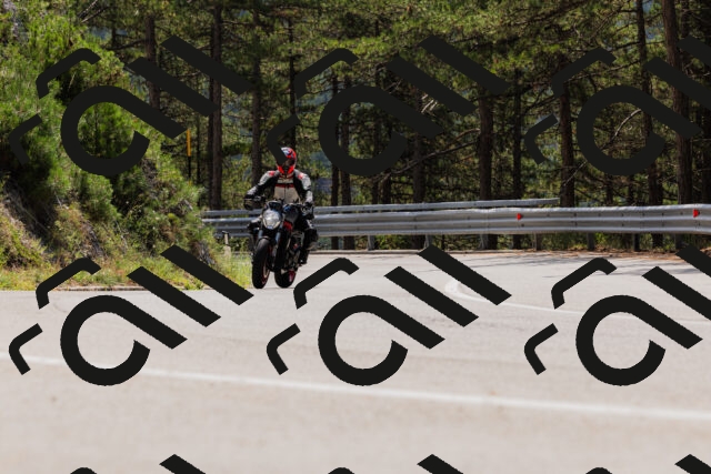 202508161227-_04A1092_c3