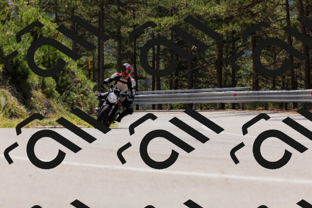 202508161227-_04A1093_c3