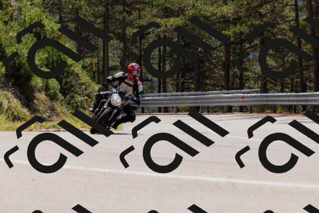 202508161227-_04A1094_c3