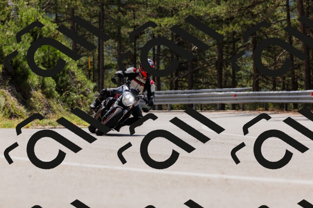 202508161227-_04A1095_c3