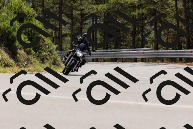 202508161228-_04A1096_c3