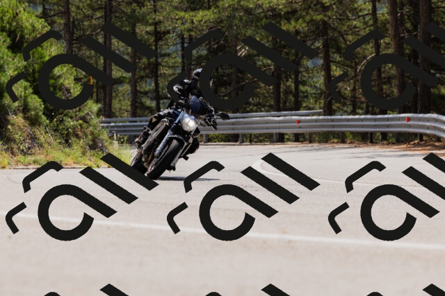 202508161228-_04A1097_c3