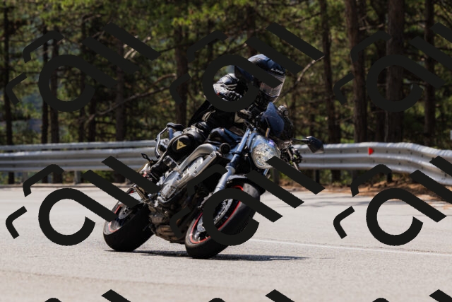 202508161228-_04A1098_c3