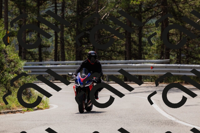 202508161233-_04A1100_c3