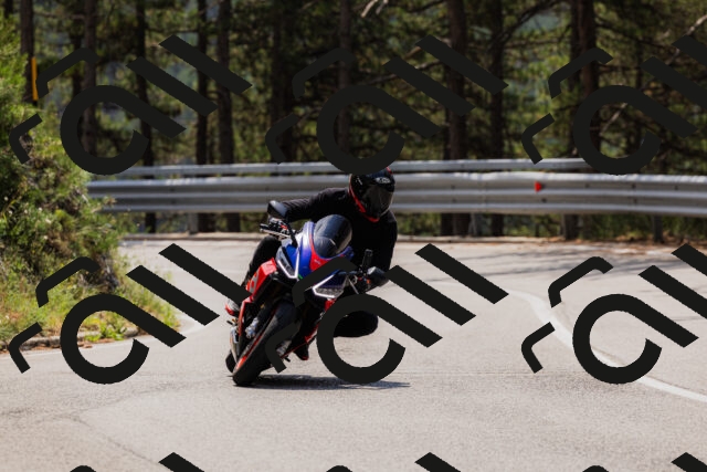 202508161233-_04A1101_c3