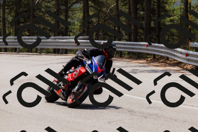 202508161233-_04A1102_c3