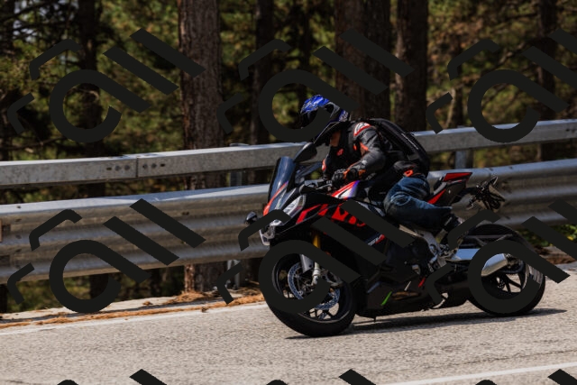 202508161233-_04A1107_c3