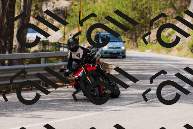 202508161234-_04A1114_c3