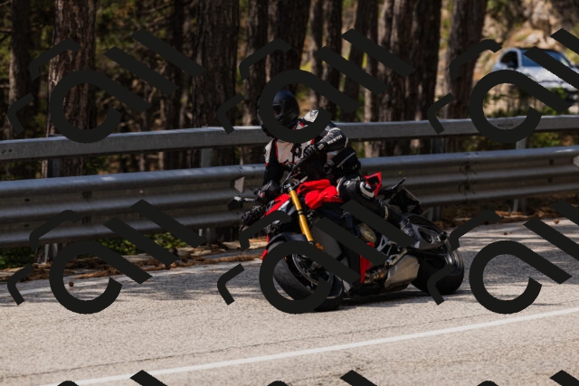 202508161234-_04A1115_c3