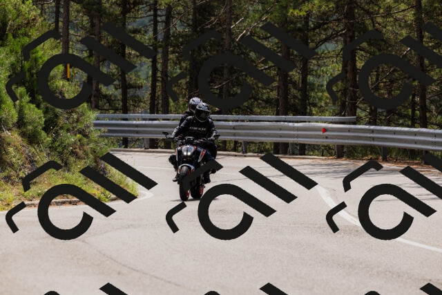 202508161235-_04A1121_c3