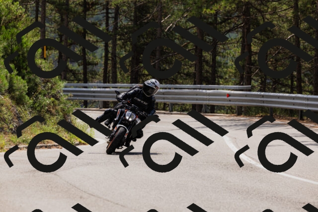 202508161235-_04A1122_c3