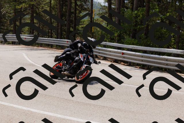 202508161235-_04A1123_c3