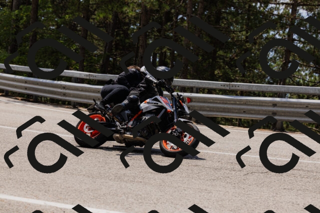 202508161235-_04A1124_c3