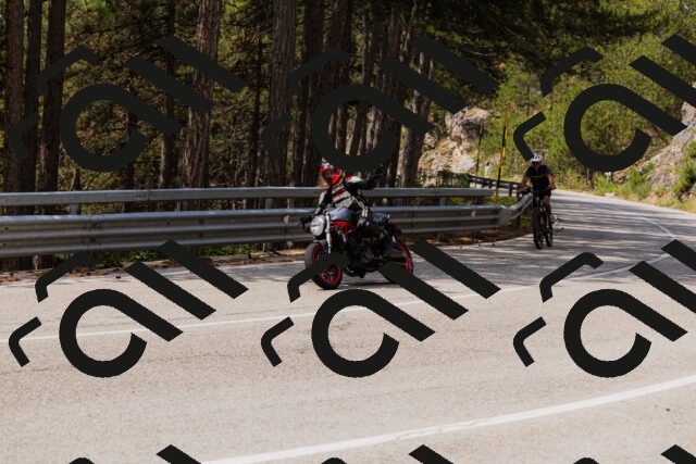 202508161235-_04A1128_c3