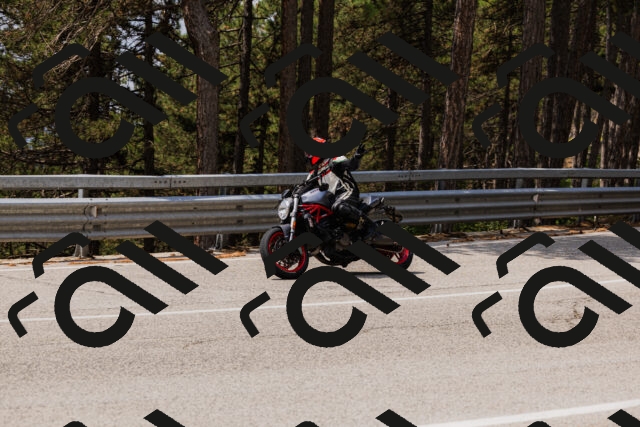 202508161235-_04A1129_c3