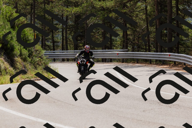 202508161236-_04A1132_c3