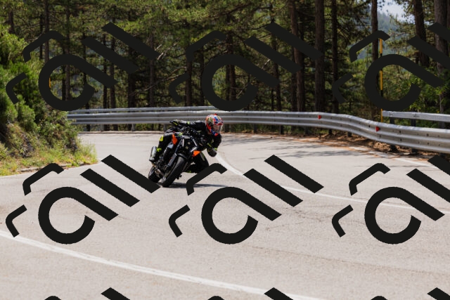 202508161236-_04A1133_c3