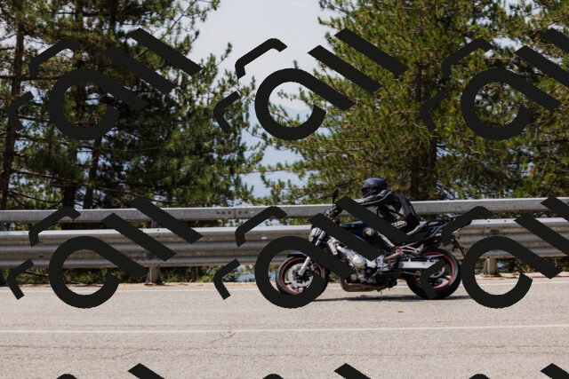 202508161236-_04A1136_c3