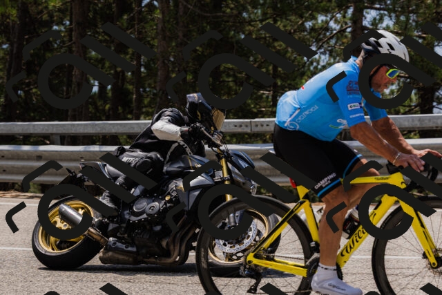 202508161236-_04A1138_c3