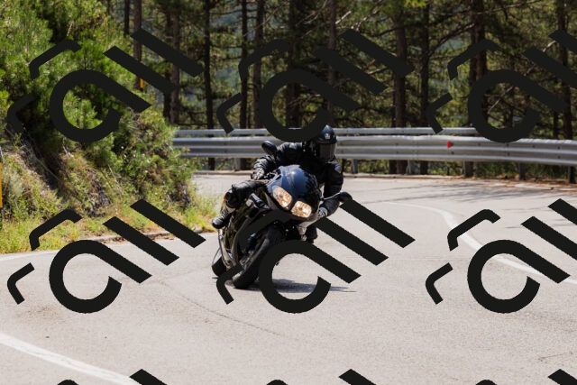 202508161237-_04A1140_c3