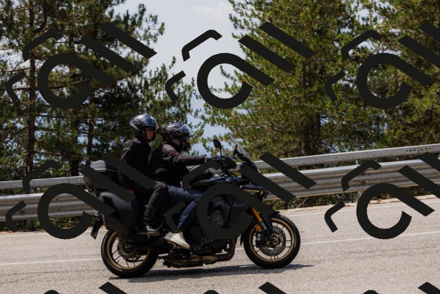 202508161238-_04A1144_c3