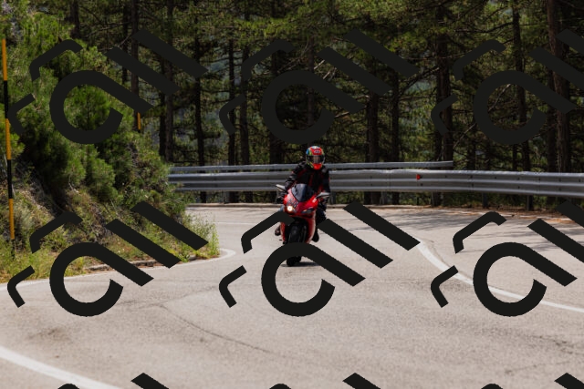 202508161242-_04A1154_c3