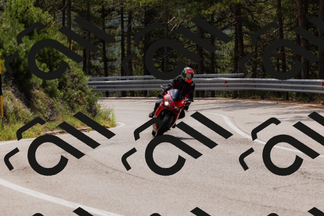 202508161242-_04A1155_c3