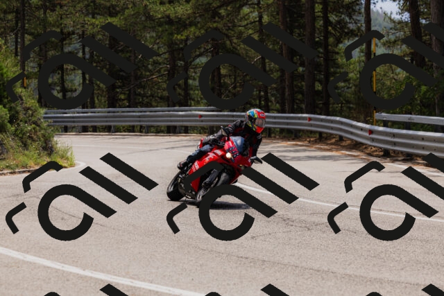 202508161242-_04A1156_c3