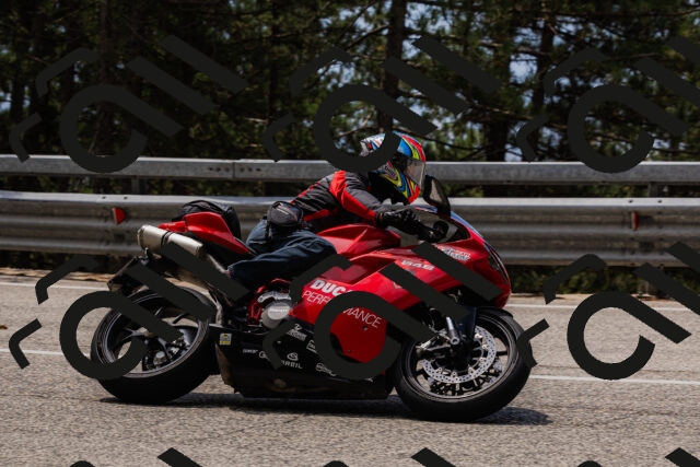 202508161242-_04A1158_c3