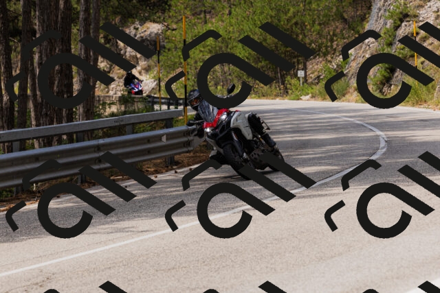 202508161242-_04A1161_c3