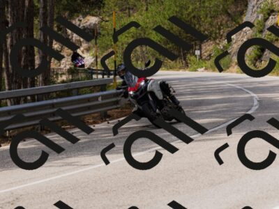 202508161242-_04A1161_c3